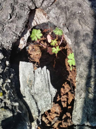 Fotos del invierno enviadas por los lectores de diariodenavarra.es