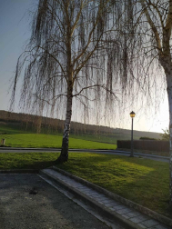 Fotos del invierno enviadas por los lectores de diariodenavarra.es