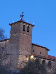 Fotos del invierno enviadas por los lectores de diariodenavarra.es