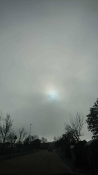 Fotos del invierno enviadas por los lectores de diariodenavarra.es