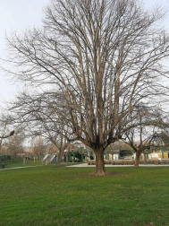 Fotos del invierno enviadas por los lectores de diariodenavarra.es