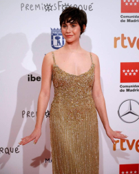 Alfombra roja y gala de entrega de los Premios Forqué del cine español.
