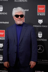 Los Premios Feroz 2020 han encumbrado a Pedro Almodóvar por su película 'Dolor y gloria', con una gala ácida que este año ha vuelto a celebrarse en Madrid, donde una de las protagonistas de la noche ha sido Penélope Cruz.