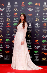 Todas las fotos de los Premios Goya de 2020