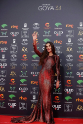 Todas las fotos de los Premios Goya de 2020