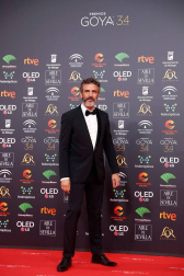 Todas las fotos de los Premios Goya de 2020
