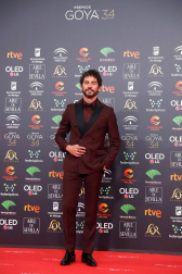 Todas las fotos de los Premios Goya de 2020
