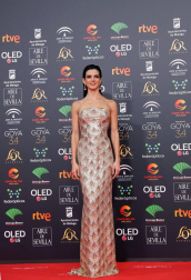 Todas las fotos de los Premios Goya de 2020