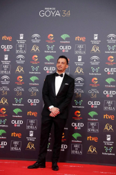 Todas las fotos de los Premios Goya de 2020
