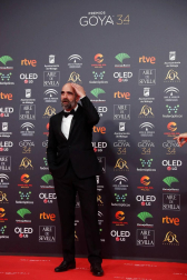 Todas las fotos de los Premios Goya de 2020