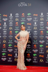 Todas las fotos de los Premios Goya de 2020