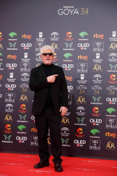 Todas las fotos de los Premios Goya de 2020