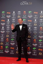 Todas las fotos de los Premios Goya de 2020