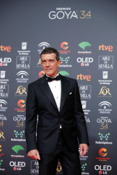 Todas las fotos de los Premios Goya de 2020