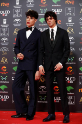Todas las fotos de los Premios Goya de 2020