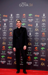 Todas las fotos de los Premios Goya de 2020