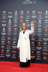 Todas las fotos de los Premios Goya de 2020