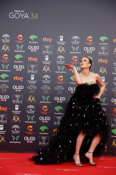 Todas las fotos de los Premios Goya de 2020