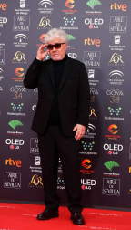 Todas las fotos de los Premios Goya de 2020