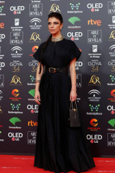 Todas las fotos de los Premios Goya de 2020