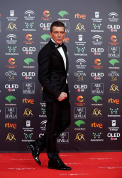 Todas las fotos de los Premios Goya de 2020