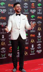 Todas las fotos de los Premios Goya de 2020