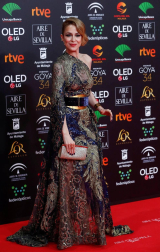 Todas las fotos de los Premios Goya de 2020