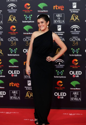 Todas las fotos de los Premios Goya de 2020