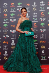 Todas las fotos de los Premios Goya de 2020