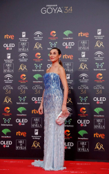 Todas las fotos de los Premios Goya de 2020