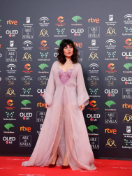 Todas las fotos de los Premios Goya de 2020