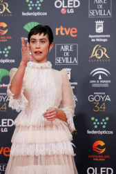 Todas las fotos de los Premios Goya de 2020