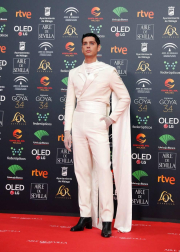 Todas las fotos de los Premios Goya de 2020