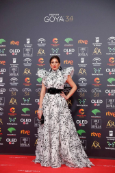 Todas las fotos de los Premios Goya de 2020