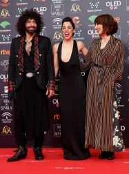 Todas las fotos de los Premios Goya de 2020