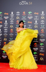 Todas las fotos de los Premios Goya de 2020