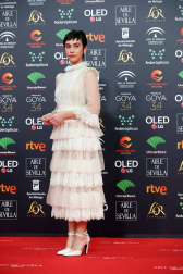 Todas las fotos de los Premios Goya de 2020