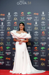 Todas las fotos de los Premios Goya de 2020