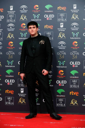Todas las fotos de los Premios Goya de 2020