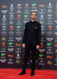 Todas las fotos de los Premios Goya de 2020