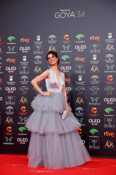 Todas las fotos de los Premios Goya de 2020