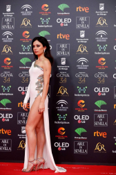 Todas las fotos de los Premios Goya de 2020