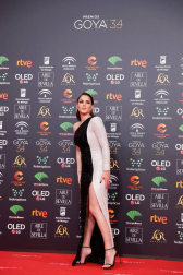 Todas las fotos de los Premios Goya de 2020