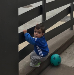 Imágenes enviadas por los lectores donde muestran cómo pasan el aislamiento en casa por el coronavirus.