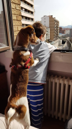 Imágenes enviadas por los lectores donde muestran cómo pasan el aislamiento en casa por el coronavirus.