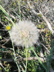 Fotos de la primavera enviadas por los lectores de diariodenavarra.es