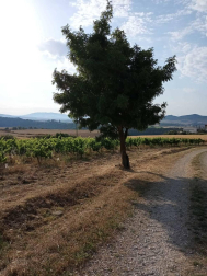 Fotos de la primavera enviadas por los lectores de diariodenavarra.es
