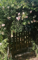 Fotos de la primavera enviadas por los lectores de diariodenavarra.es