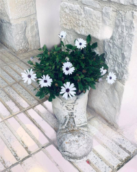 Fotos de la primavera enviadas por los lectores de diariodenavarra.es