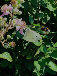 Fotos de la primavera enviadas por los lectores de diariodenavarra.es